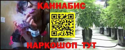 стаф Бийск