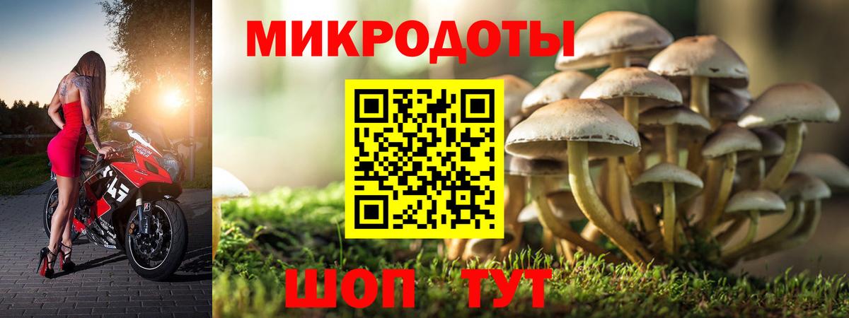 Галлюциногенные грибы MAGIC MUSHROOMS Выкса